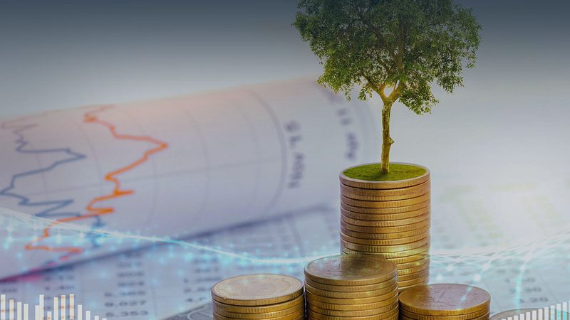 尽职调查代理费用，到底贵在哪